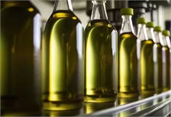 Farmers and Consumers React to Rising Olive Oil Prices